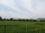 IMG_1843