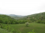 IMG_1900
