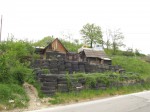 IMG_1905