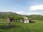 IMG_1953