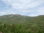 IMG_1961