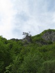 IMG_1963