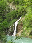 IMG_2013