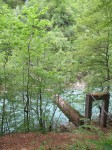 IMG_2027