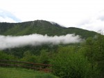 IMG_2050