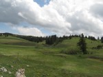 IMG_2059