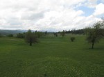 IMG_2069