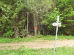 Mined forest - near Srebrenica