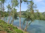 IMG_2312