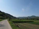 IMG_2313
