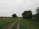 IMG_2407