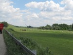 IMG_2448