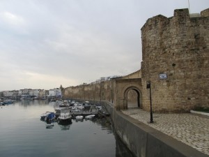 Old harbour and Kasbah (old fort)