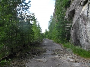 Old, unused road