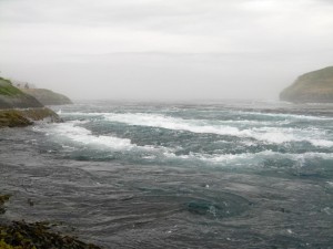 Saltstraumen