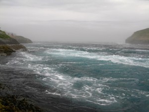 Saltstraumen