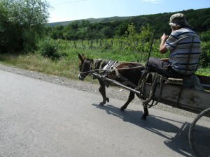 A donkey cart - a rare sight in Georgia