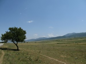 Central Georgian countryside