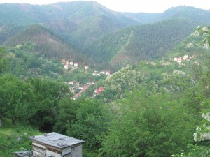 (Parts of) Srebrenica